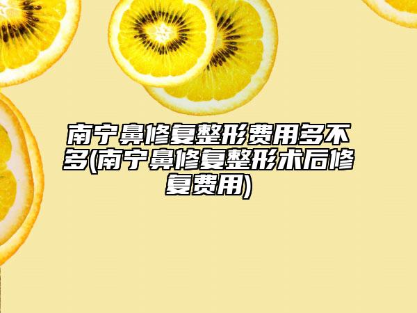 南宁鼻修复整形费用多不多(南宁鼻修复整形术后修复费用)