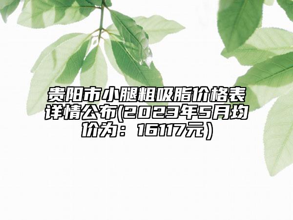 贵阳市小腿粗吸脂价格表详情公布(2023年5月均价为：16117元）