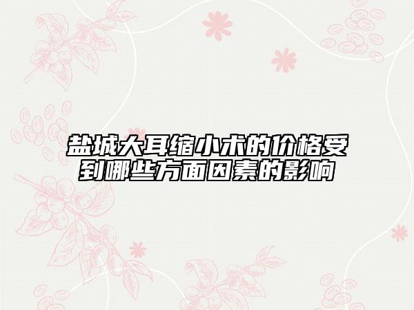盐城大耳缩小术的价格受到哪些方面因素的影响