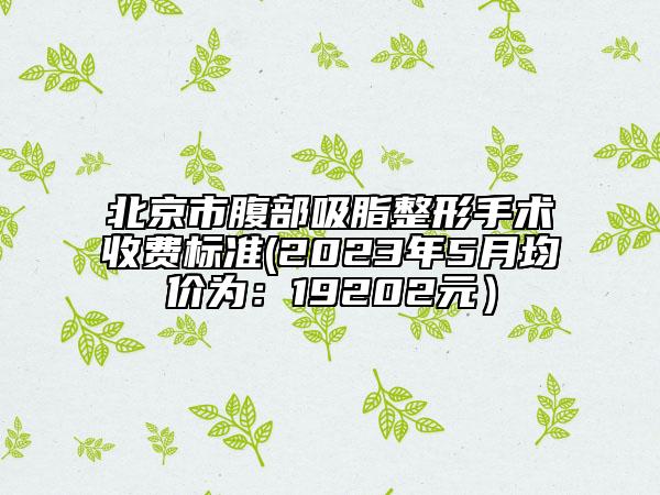 北京市腹部吸脂整形手术收费标准(2023年5月均价为：19202元）