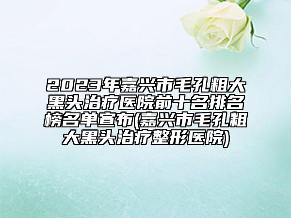 2023年嘉兴市毛孔粗大黑头治疗医院前十名排名榜名单宣布(嘉兴市毛孔粗大黑头治疗整形医院)
