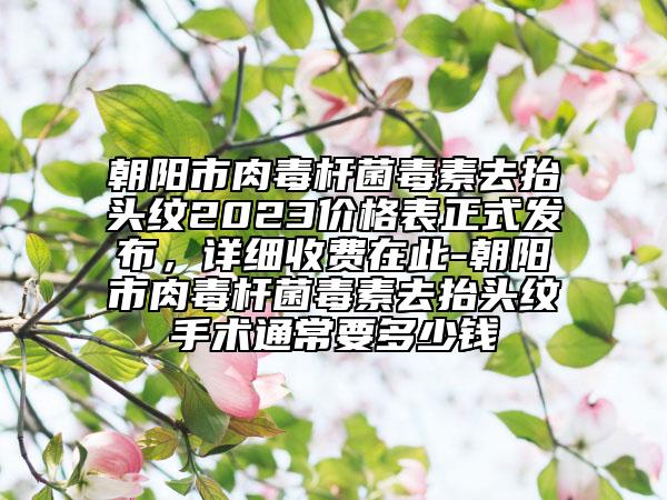 朝阳市肉毒杆菌毒素去抬头纹2023价格表正式发布，详细收费在此-朝阳市肉毒杆菌毒素去抬头纹手术通常要多少钱