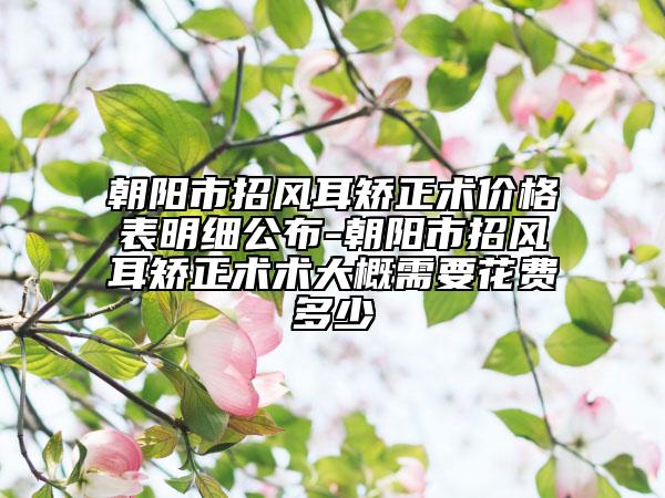 朝阳市招风耳矫正术价格表明细公布-朝阳市招风耳矫正术术大概需要花费多少