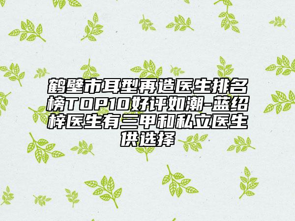 鹤壁市耳型再造医生排名榜TOP10好评如潮-蓝绍梓医生有三甲和私立医生供选择
