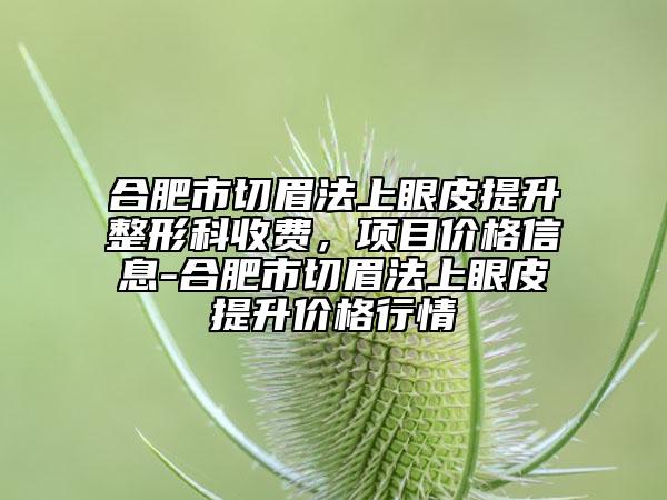合肥市切眉法上眼皮提升整形科收费，项目价格信息-合肥市切眉法上眼皮提升价格行情