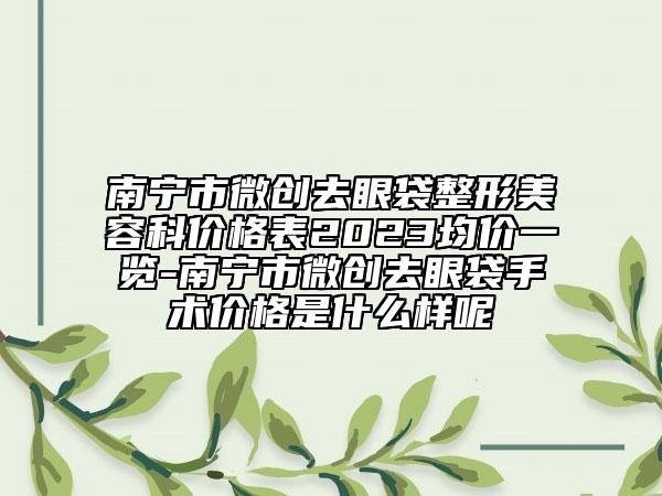 南宁市微创去眼袋整形美容科价格表2023均价一览-南宁市微创去眼袋手术价格是什么样呢