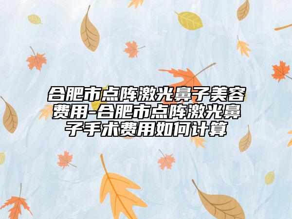 合肥市点阵激光鼻子美容费用-合肥市点阵激光鼻子手术费用如何计算