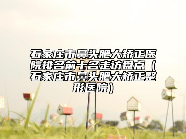石家庄市鼻头肥大矫正医院排名前十名走访盘点（石家庄市鼻头肥大矫正整形医院）