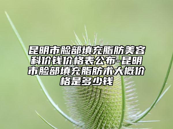 昆明市脸部填充脂肪美容科价钱价格表公布-昆明市脸部填充脂肪术大概价格是多少钱