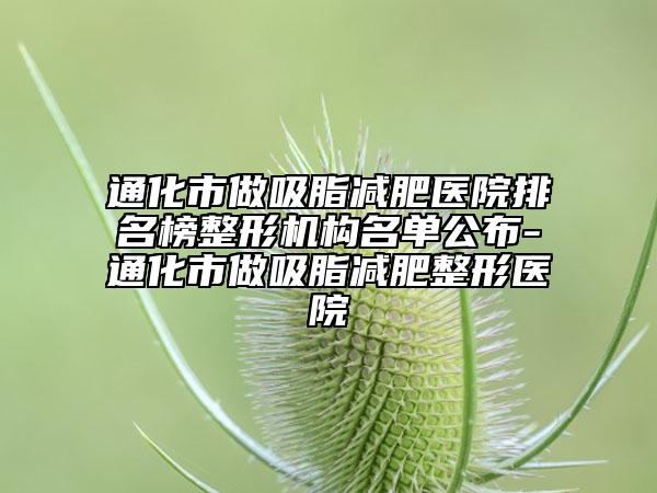 通化市做吸脂减肥医院排名榜整形机构名单公布-通化市做吸脂减肥整形医院