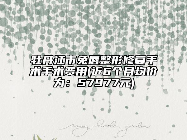 牡丹江市兔唇整形修复手术手术费用(近6个月均价为：57977元)