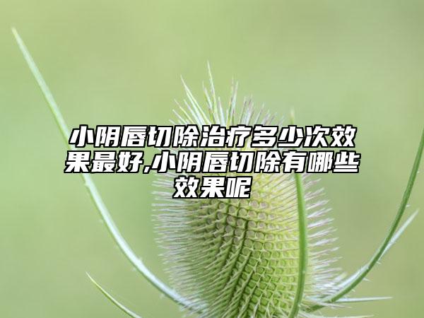 小阴唇切除治疗多少次效果最好,小阴唇切除有哪些效果呢