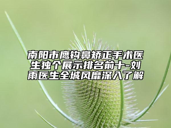南阳市鹰钩鼻矫正手术医生独个展示排名前十-刘雨医生全城风靡深入了解