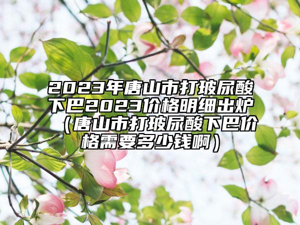 2023年唐山市打玻尿酸下巴2023价格明细出炉（唐山市打玻尿酸下巴价格需要多少钱啊）