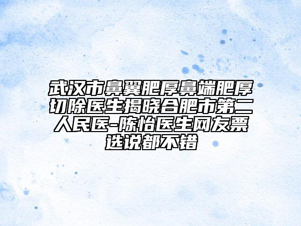 武汉市鼻翼肥厚鼻端肥厚切除医生揭晓合肥市第二人民医-陈怡医生网友票选说都不错