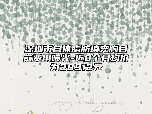 深圳市自体脂肪填充胸目前费用曝光-近8个月均价为28912元