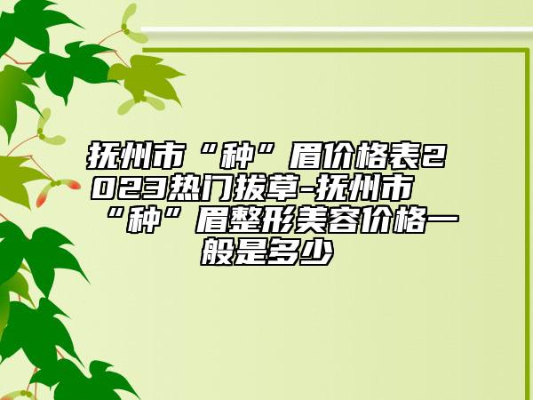 抚州市“种”眉价格表2023热门拔草-抚州市“种”眉整形美容价格一般是多少