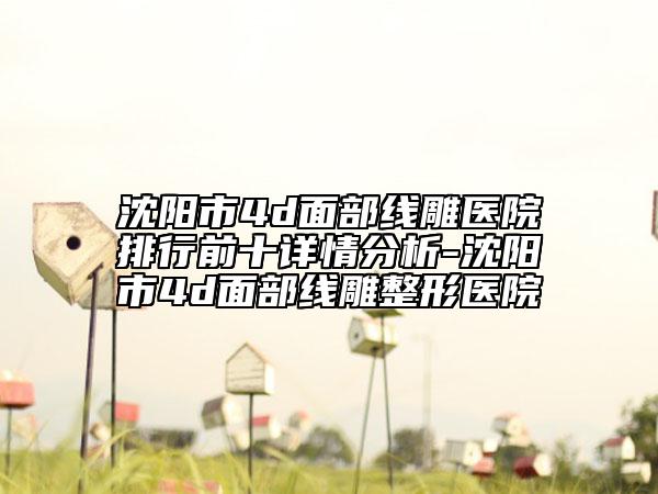 沈阳市4d面部线雕医院排行前十详情分析-沈阳市4d面部线雕整形医院