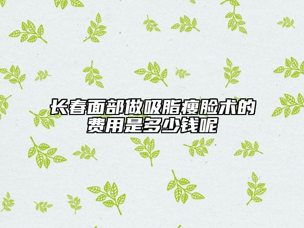 长春面部做吸脂瘦脸术的费用是多少钱呢