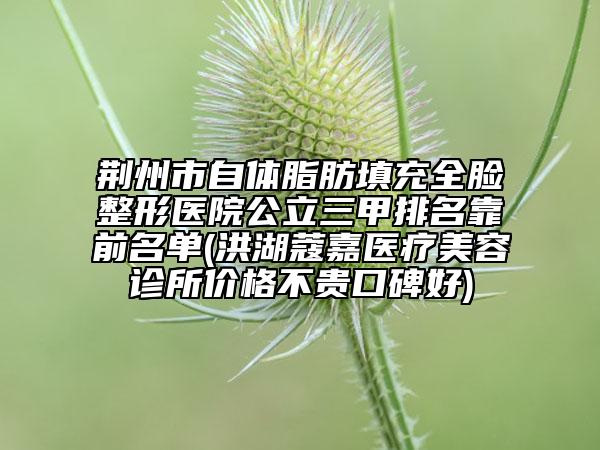 荆州市自体脂肪填充全脸整形医院公立三甲排名靠前名单(洪湖蔻嘉医疗美容诊所价格不贵口碑好)