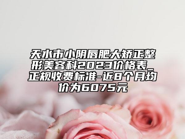 天水市小阴唇肥大矫正整形美容科2023价格表_正规收费标准-近8个月均价为6075元