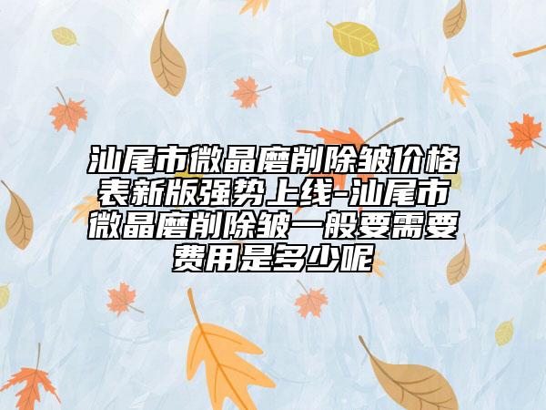 汕尾市微晶磨削除皱价格表新版强势上线-汕尾市微晶磨削除皱一般要需要费用是多少呢