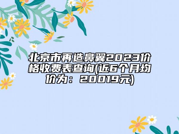 北京市再造鼻翼2023价格收费表查询(近6个月均价为：20019元)