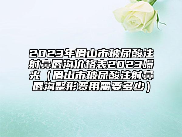 2023年眉山市玻尿酸注射鼻唇沟价格表2023曝光（眉山市玻尿酸注射鼻唇沟整形费用需要多少）