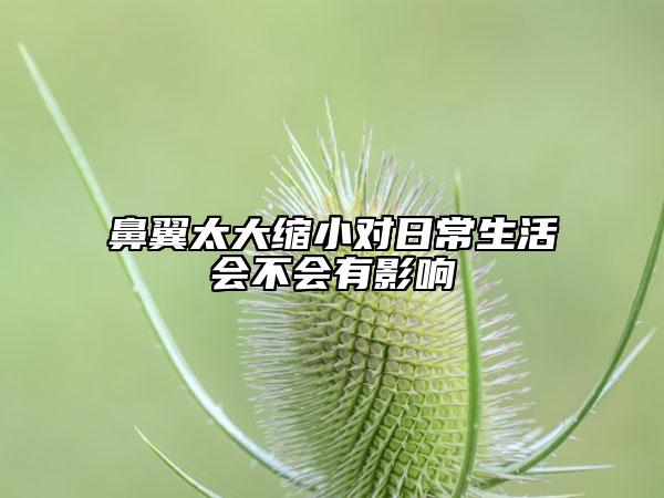 鼻翼太大缩小对日常生活会不会有影响
