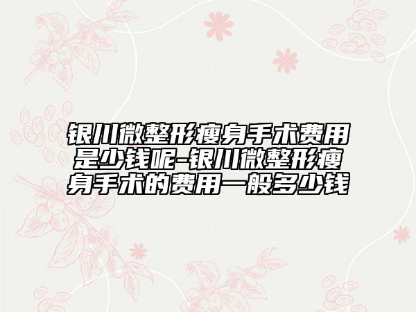 银川微整形瘦身手术费用是少钱呢-银川微整形瘦身手术的费用一般多少钱