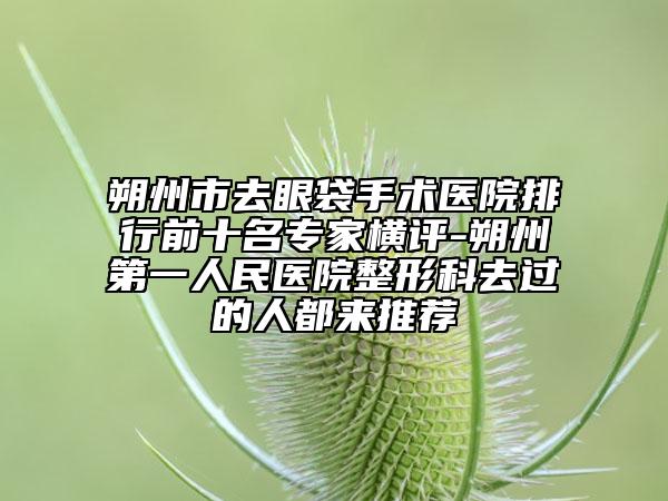 朔州市去眼袋手术医院排行前十名专家横评-朔州第一人民医院整形科去过的人都来推荐