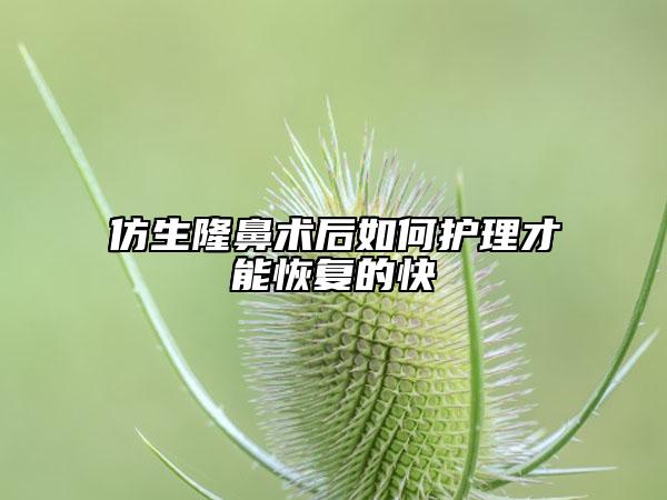 仿生隆鼻术后如何护理才能恢复的快