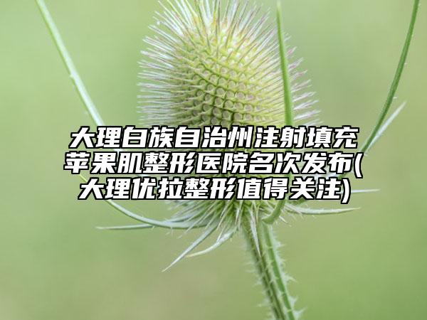 大理白族自治州注射填充苹果肌整形医院名次发布(大理优拉整形值得关注)