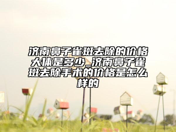 济南鼻子雀斑去除的价格大体是多少_济南鼻子雀斑去除手术的价格是怎么样的
