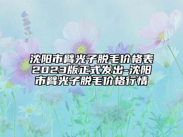 沈阳市臂光子脱毛价格表2023版正式发出-沈阳市臂光子脱毛价格行情