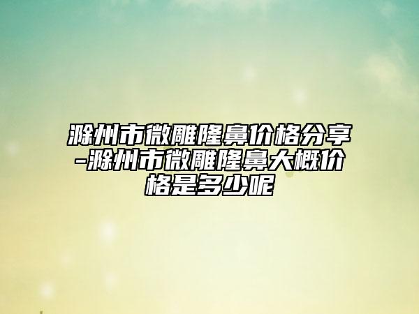滁州市微雕隆鼻价格分享-滁州市微雕隆鼻大概价格是多少呢