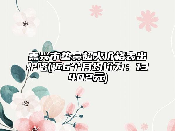 嘉兴市垫鼻超火价格表出炉咯(近6个月均价为：13402元)