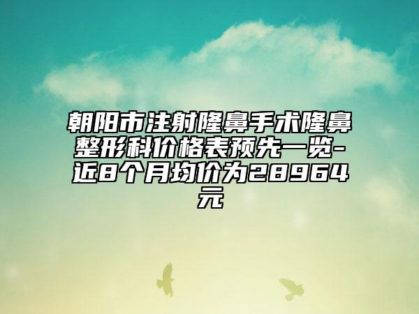 朝阳市注射隆鼻手术隆鼻整形科价格表预先一览-近8个月均价为28964元