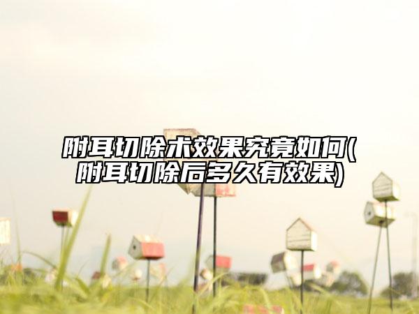 附耳切除术效果究竟如何(附耳切除后多久有效果)