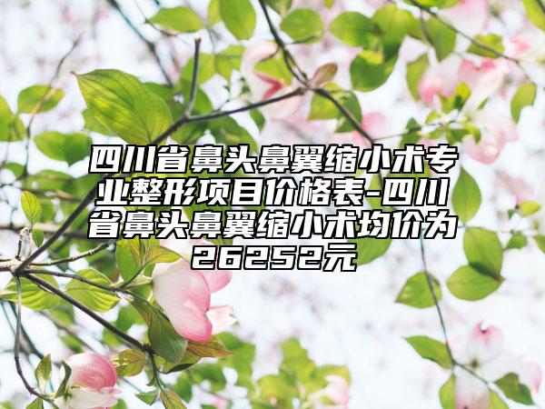 四川省鼻头鼻翼缩小术专业整形项目价格表-四川省鼻头鼻翼缩小术均价为26252元