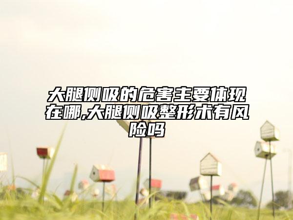 大腿侧吸的危害主要体现在哪,大腿侧吸整形术有风险吗