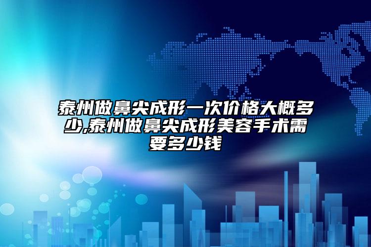 泰州做鼻尖成形一次价格大概多少,泰州做鼻尖成形美容手术需要多少钱