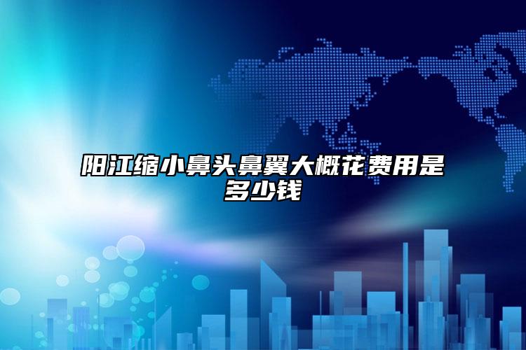 阳江缩小鼻头鼻翼大概花费用是多少钱