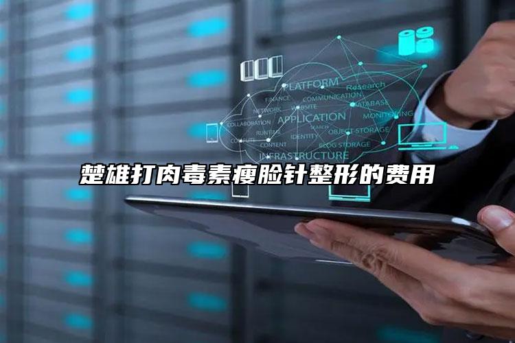 楚雄打肉毒素瘦脸针整形的费用