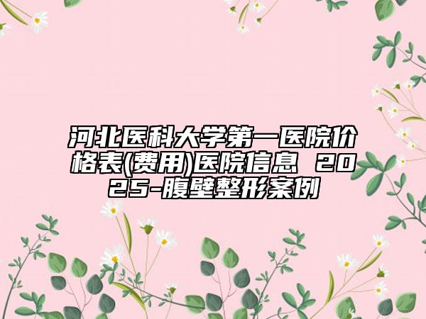 河北医科大学第一医院价格表(费用)医院信息 2025-腹壁整形案例