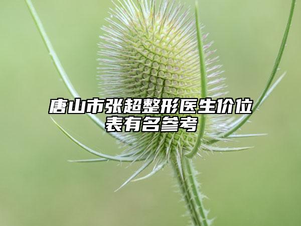 唐山市张超整形医生价位表有名参考