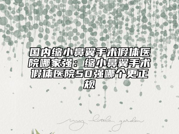 国内缩小鼻翼手术假体医院哪家强：缩小鼻翼手术假体医院50强哪个更正规