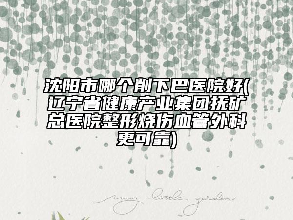 沈阳市哪个削下巴医院好(辽宁省健康产业集团抚矿总医院整形烧伤血管外科更可靠)