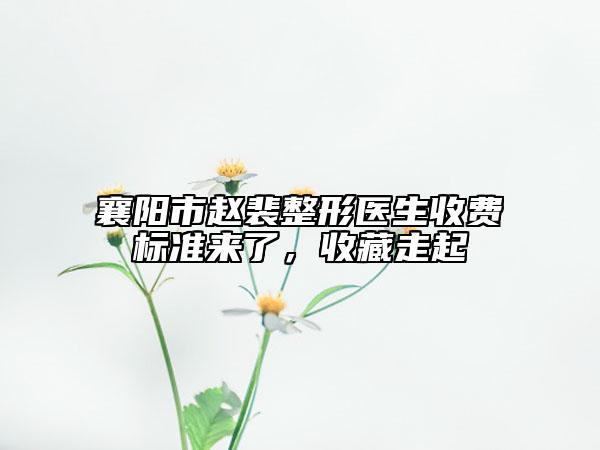 襄阳市赵裴整形医生收费标准来了，收藏走起