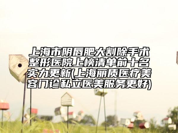 上海市阴唇肥大割除手术整形医院上榜清单前十名实力更新(上海丽质医疗美容门诊私立医美服务更好)
